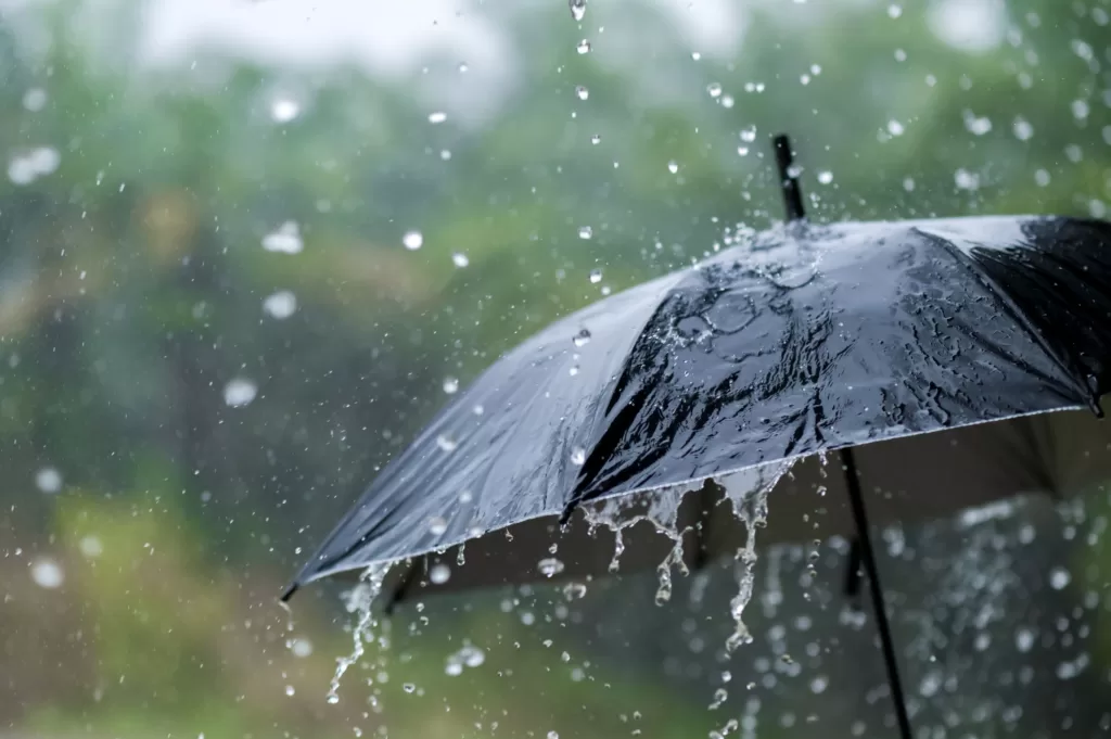 Delhi Receives Highest Single-Day Rain In March In 3 Years: IMD