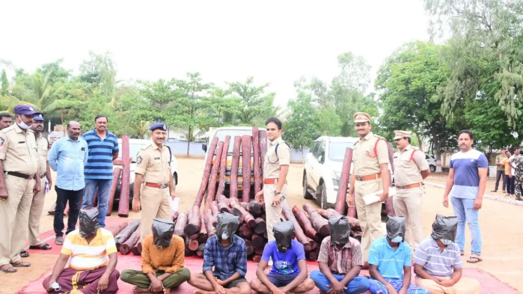 Andhra: 16 arrested for smuggling red sandalwood worth over Rs 40 lakh