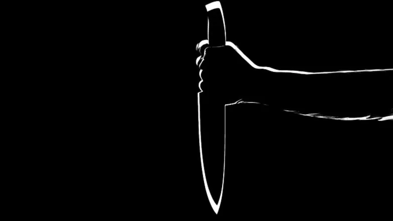 Woman stabs live-in partner in Delhi's Kishangarh